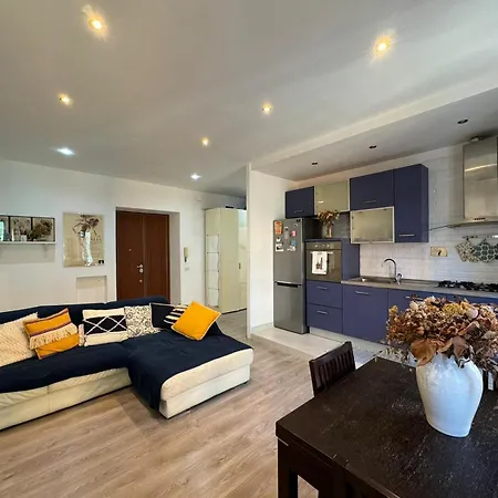 Hydrangeas Flat In Centocelle * ローマ