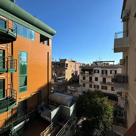 Hydrangeas Flat In Centocelle *